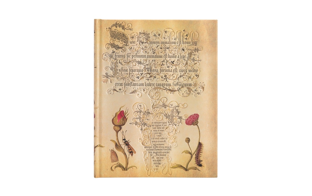 Paperblanks Bloc-notes Rose flamande 18 x 23 cm, Vierge