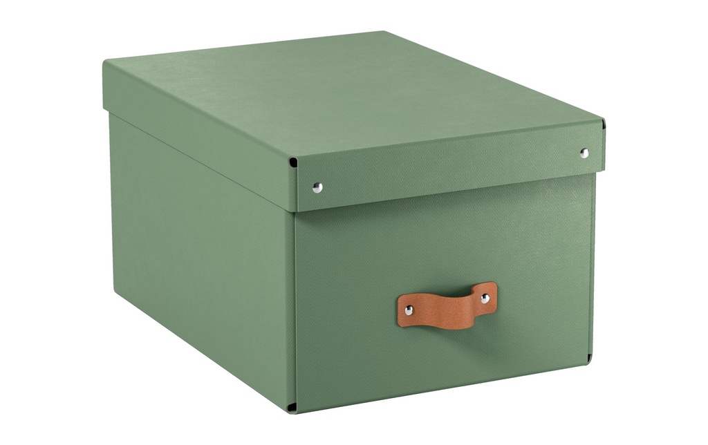 Leitz Boîte d'archives Puro moyenne avec couvercle à charnière, 2 pièces, Vert clair