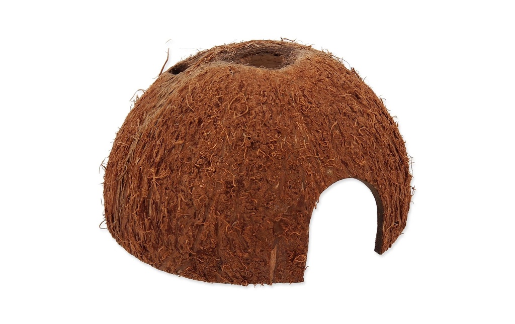 Repti Planet Coco Coupe L
