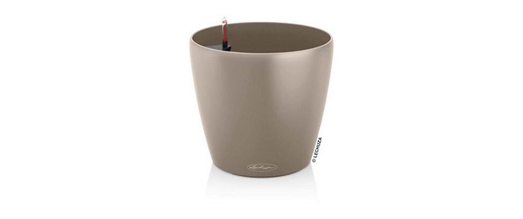 Lechuza CLASSICO Color 18 Marron sable