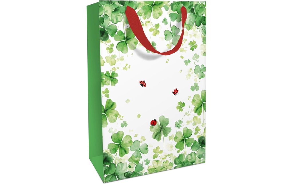 Braun + Company Sac cadeau Lucky You 26 x 36 x 13 cm