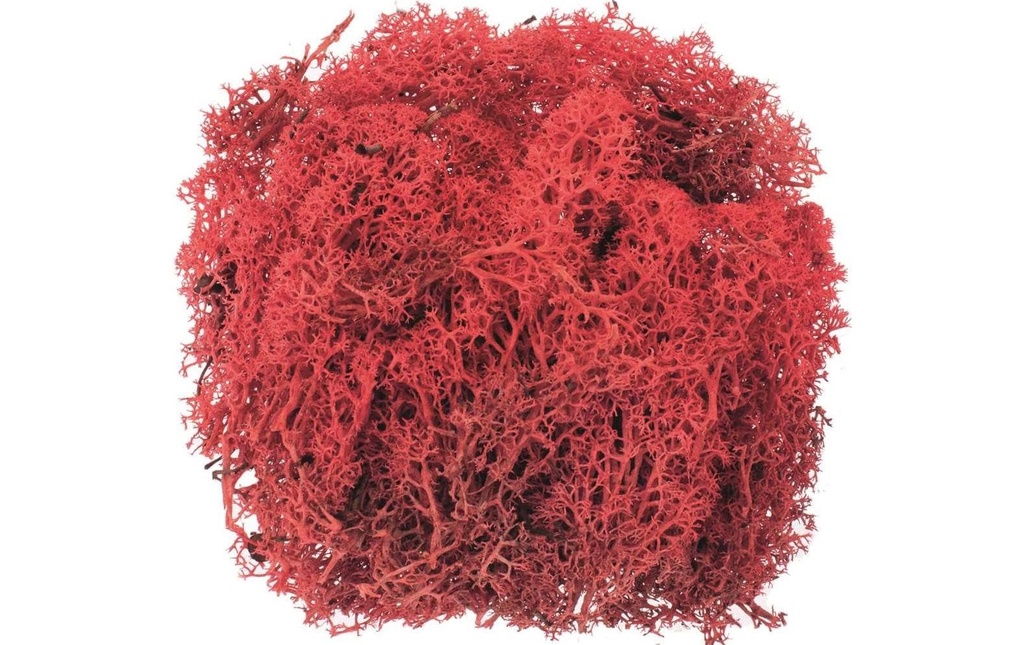 Glorex Mousse Island Rouge