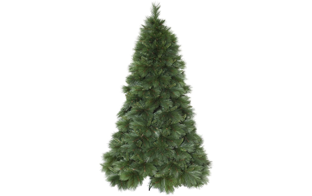 Star Trading Sapin de Noël Cembra, 2.4 m, Vert