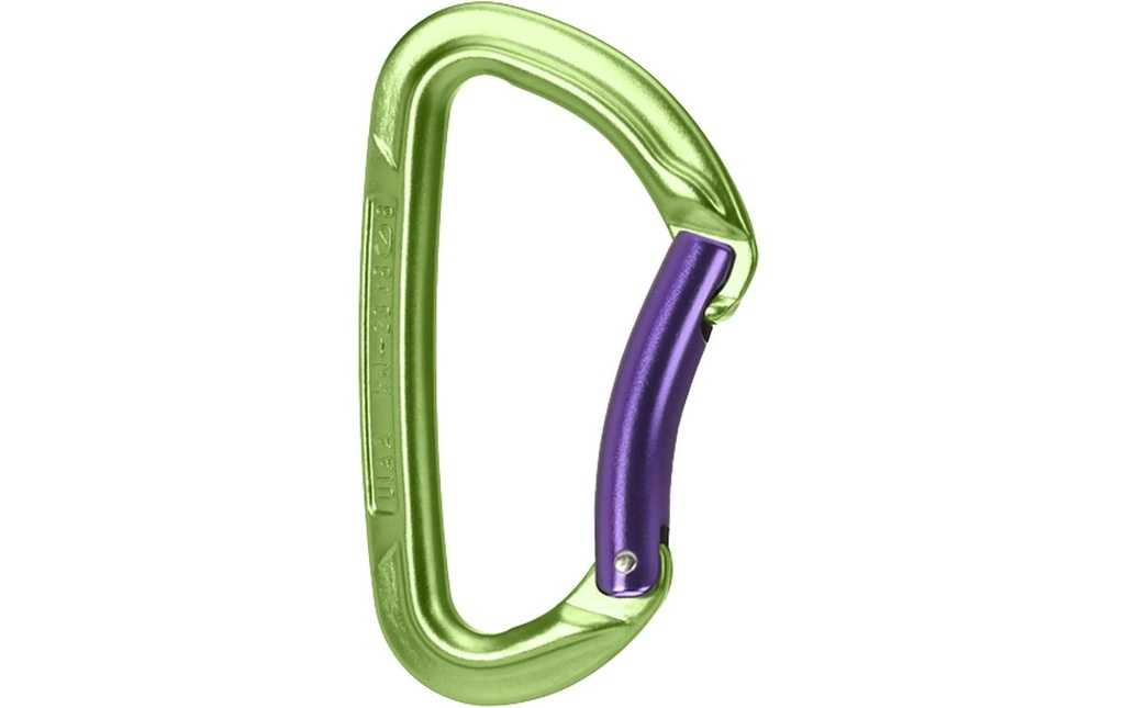Wild Country Mousqueton Session Bent Gate Vert