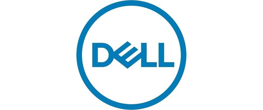 Dell SSD 345-BGNK 2.5 SAS 1600 GB Usage mixte
