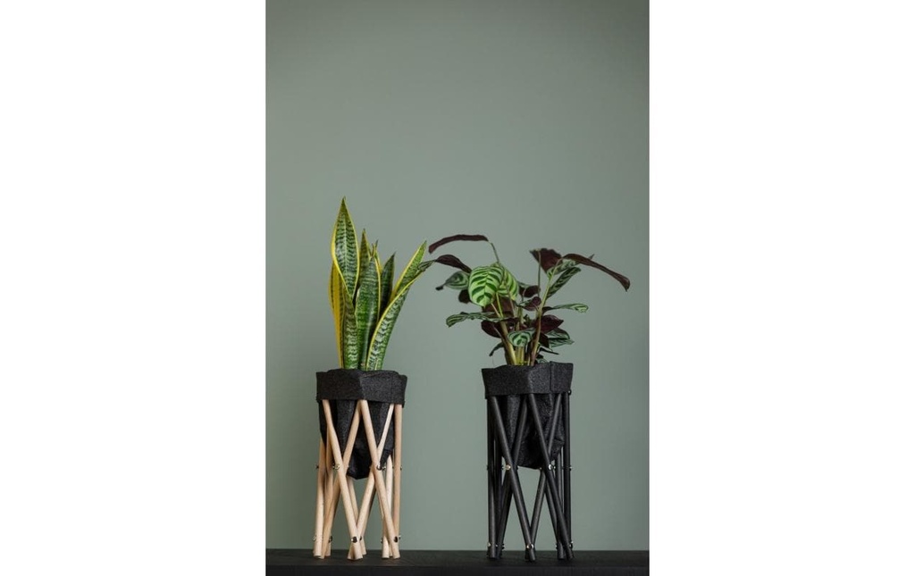 Neogard AG Trépied pour plantes Seda 30, Noir