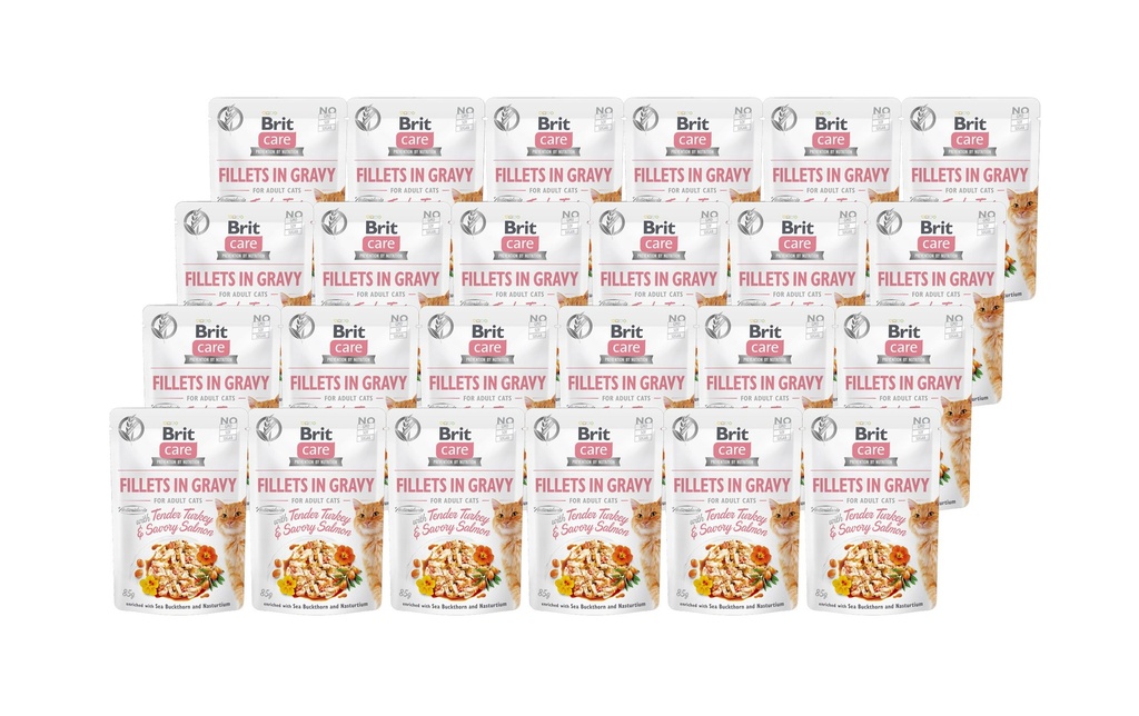 Brit Alimentation humide Care Fillets Sauce Dinde & Saumon, 24 x 85 g