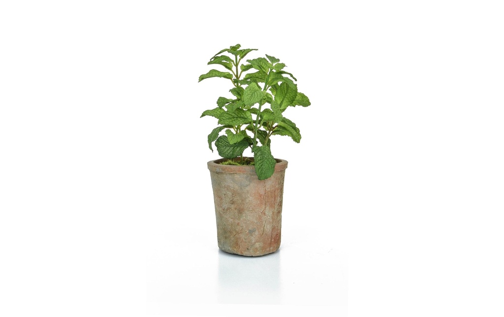 Botanic-Haus Plante artificielle Menthe poivrée en pot 27 cm