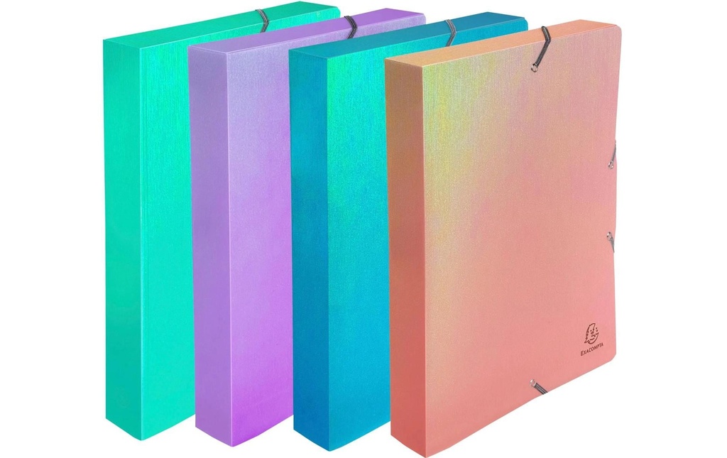 Exacompta Boîte à archives Candy Tidy avec fermeture élastique assorti