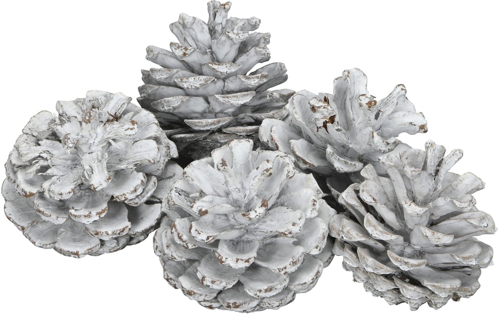 COCON Décoration à saupoudrer Cônes de pin noir, Blanc, 500g