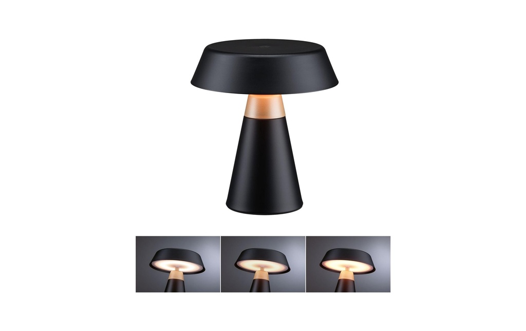 Paulmann Lampe à piles Lirox 1800K - 2700K Noir Champagne