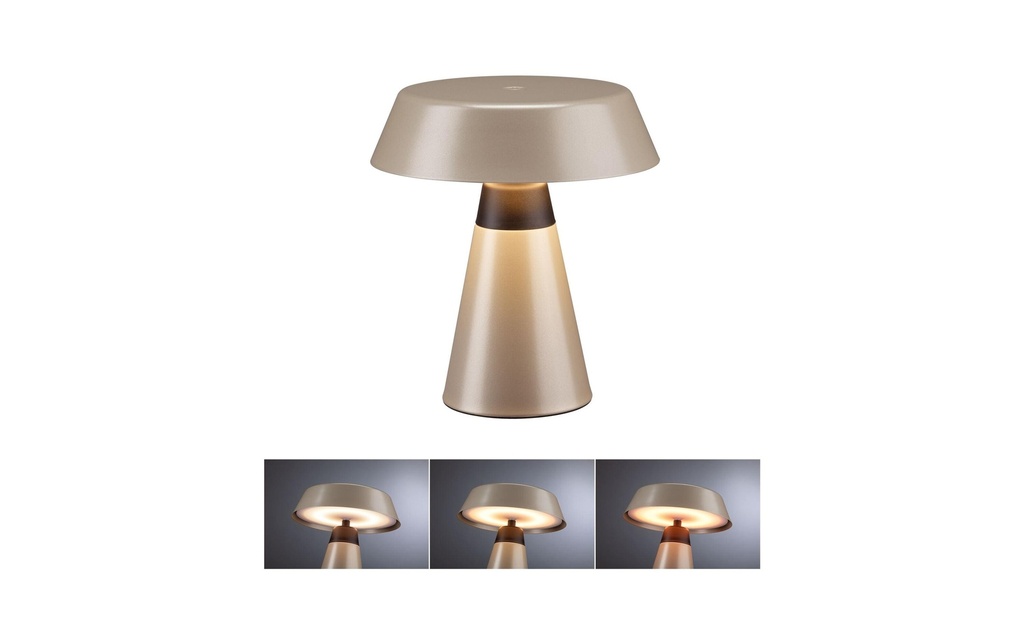 Paulmann Lampe à piles Lirox 1800K - 2700K Beige