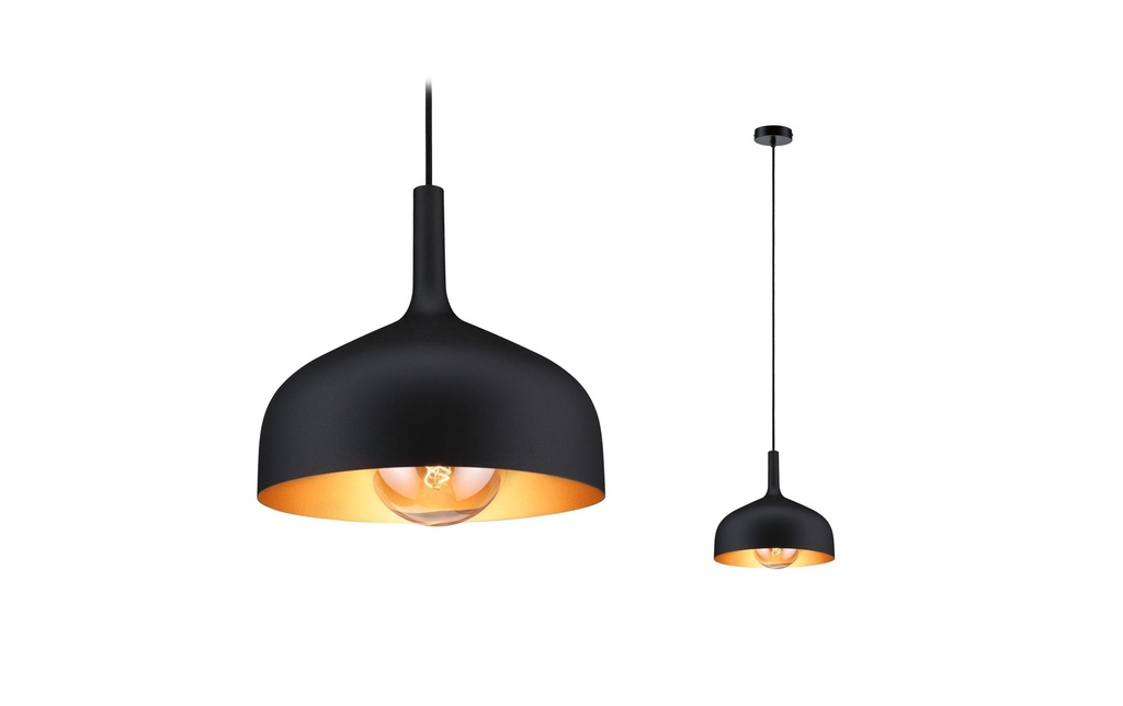 Paulmann Suspension Embla II E27 Noir Or Métal Métal