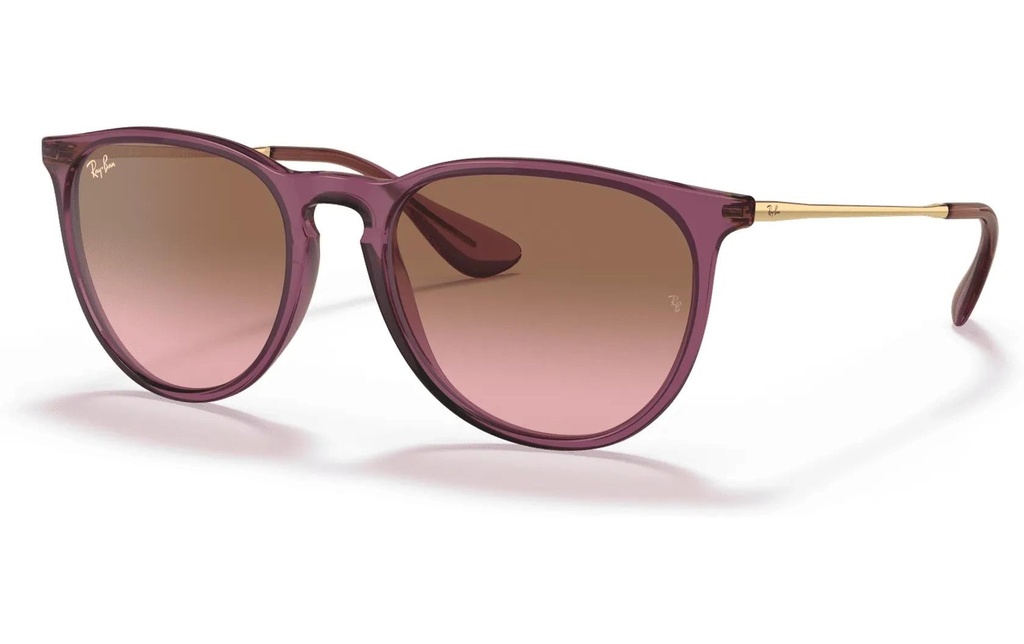Ray-Ban Lunettes de soleil Erika Violet transparent / rose