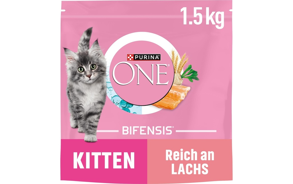 Purina ONE Alimentation sèche Junior saumon 1.5 kg