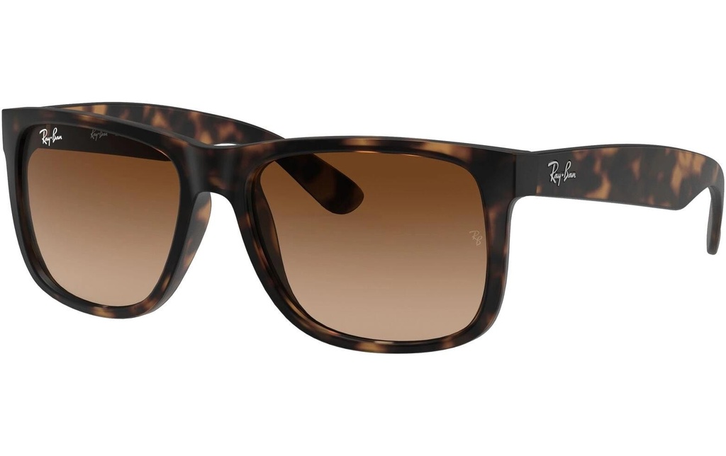 Ray-Ban Lunettes de soleil Justin Caoutchouc Light Havana