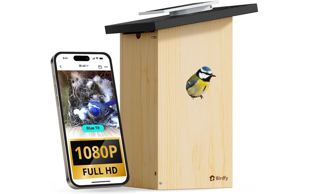 Birdfy Nichoir avec caméra et solaire