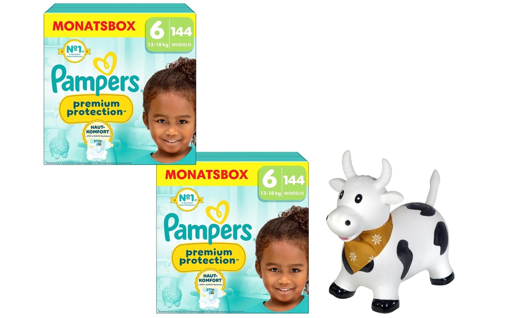 Pampers Couches Premium Protection Extra taille 6