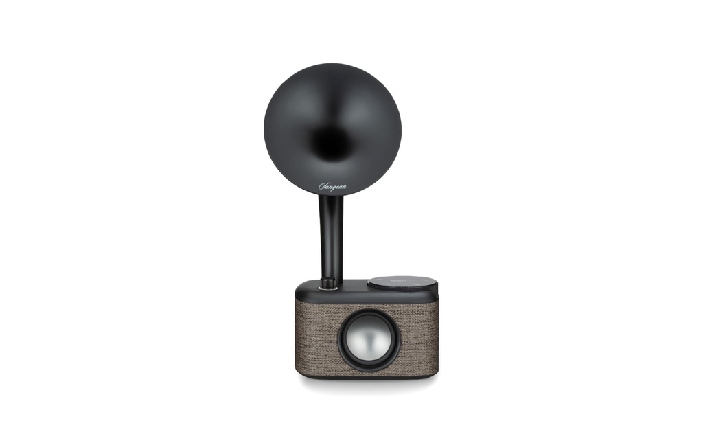 Sangean Radio CP-100D Noir/Gris