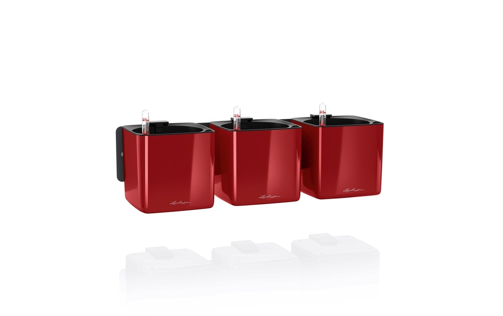 Lechuza Pot de fleur Green Wall Home Kit Rouge foncé