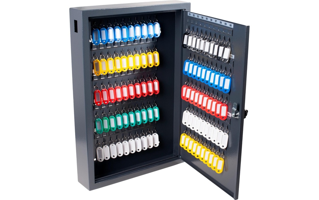 Pavo Armoire à clés Deluxe 100 crochets, gris