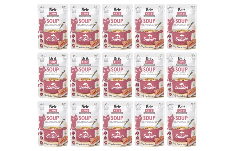 Brit Collation pour chat Care Cat Soup with Salmon 15 x 75 g