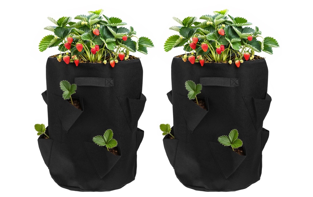 STRUCT Sac à plantes pour fraises, Lot de 2