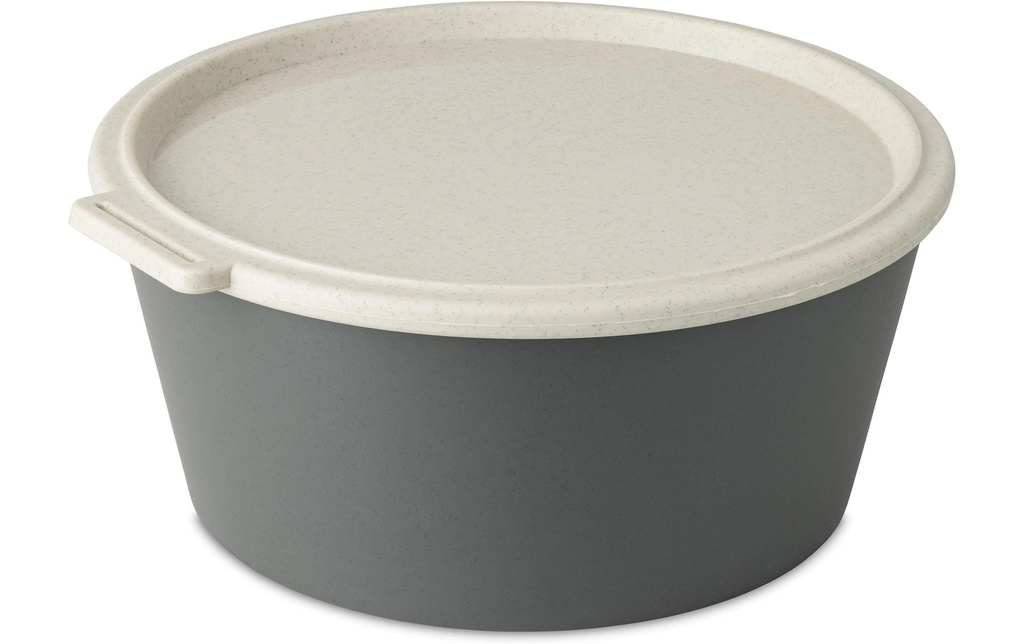 Koziol Coupe Move Box avec couvercle 2.2 l, Gris