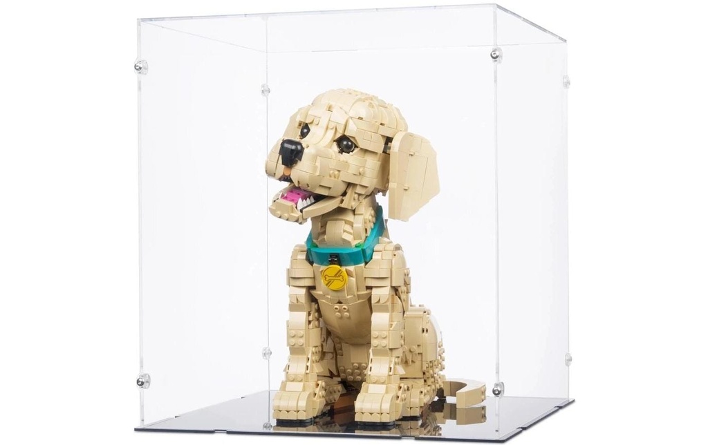 iDisplayit Présentoir en acrylique pour LEGO 11384 Golden Retriever chiot