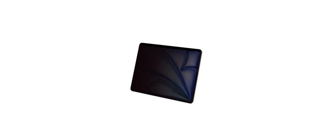 DICOTA Filtre anti-regard magnétique 2 directions Apple iPad Air (M2) 11