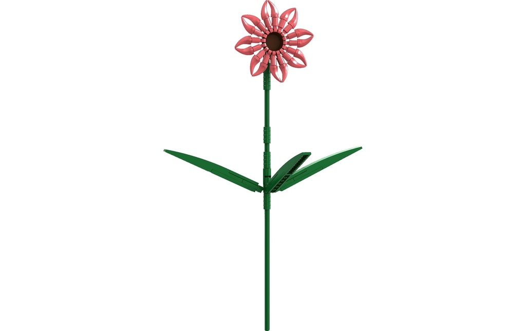Brixies Plus Gerbera