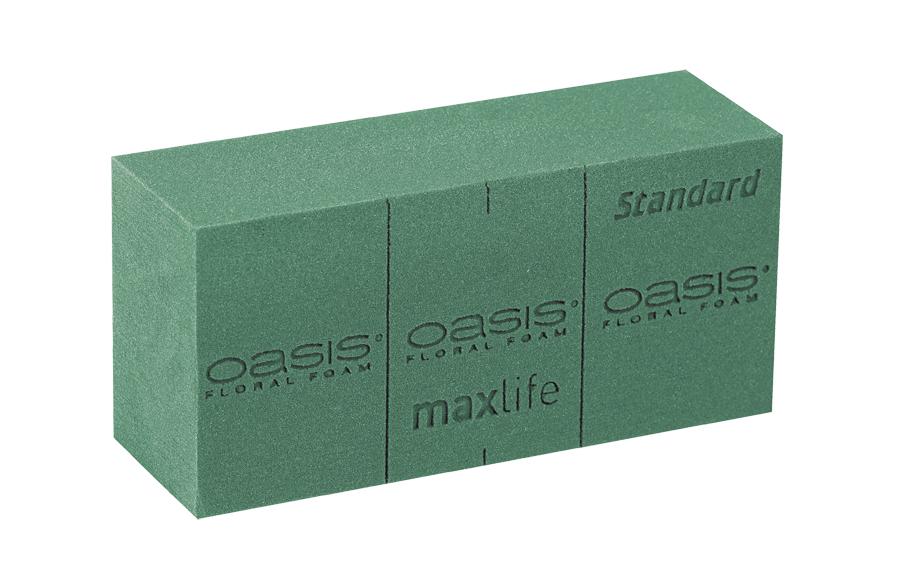 Opiflor OASIS STANDARD Maxlife Mousse à piquer pour fleurs fraîches