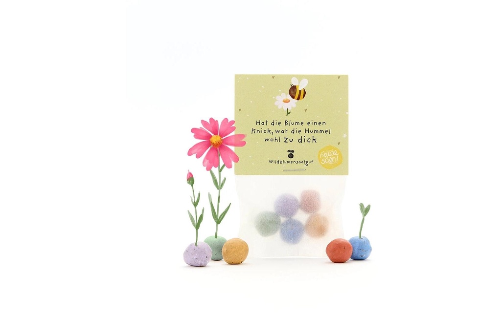 Die Stadtgärtner Billes de fleur «Est-ce que la fleur est tordue»