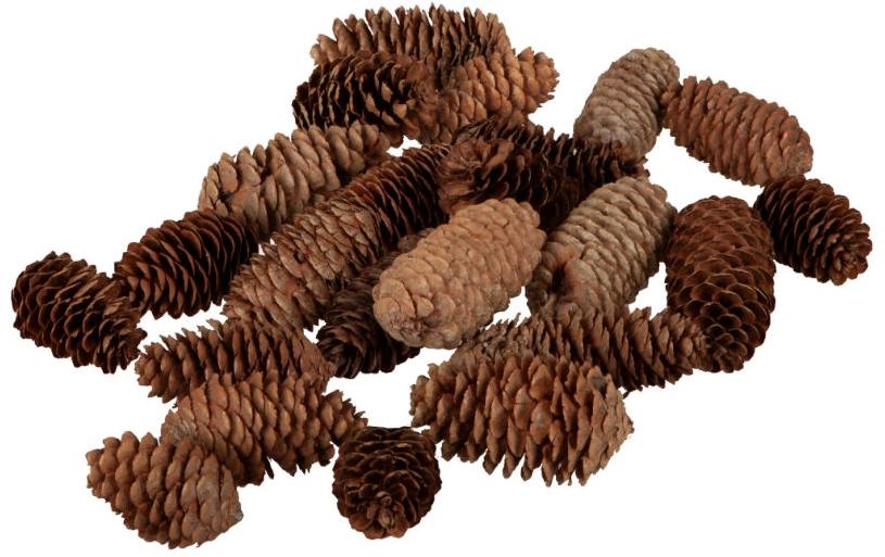 Dekomat AG Pomme de pin 200 g 7-10 cm