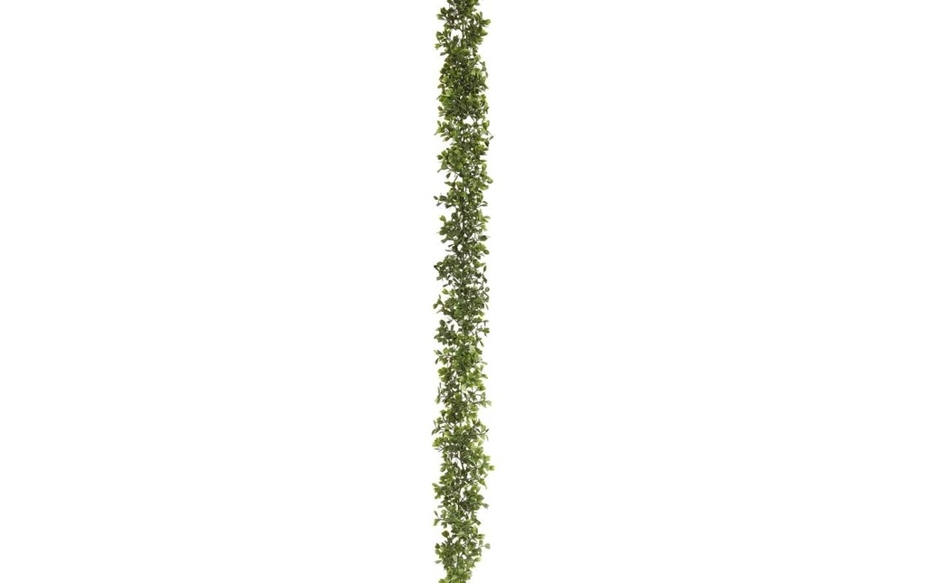 Botanic-Haus Guirlande de buis vert 180 cm