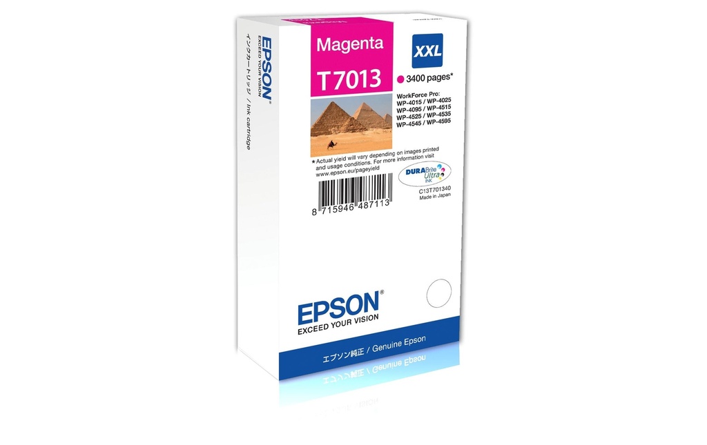 EPSON Epson cart.encre T70134 XXl ma