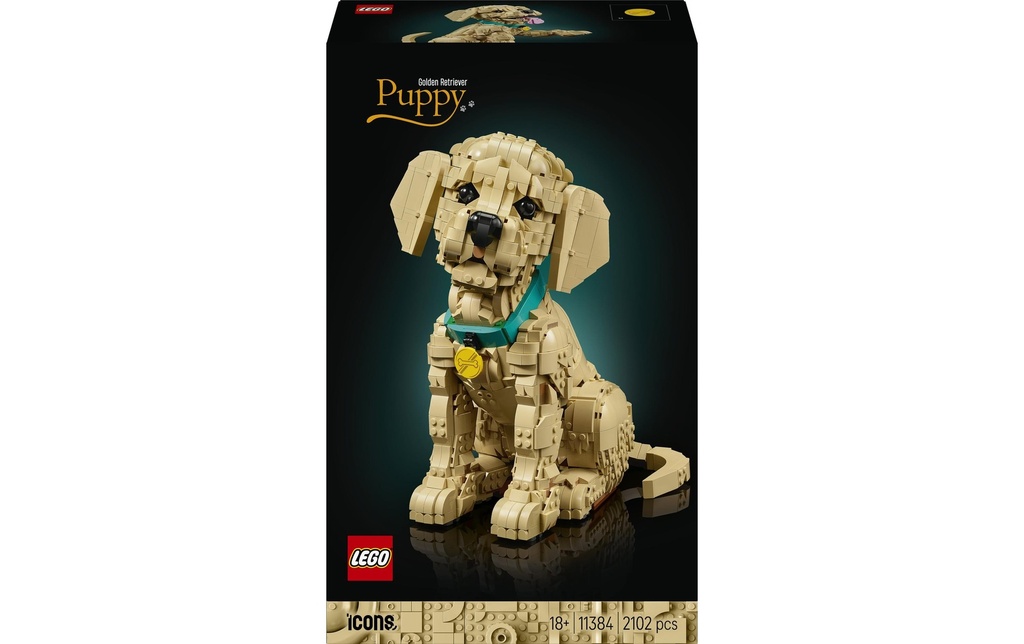 LEGO® Icons Le chiot Golden Retriever 11384