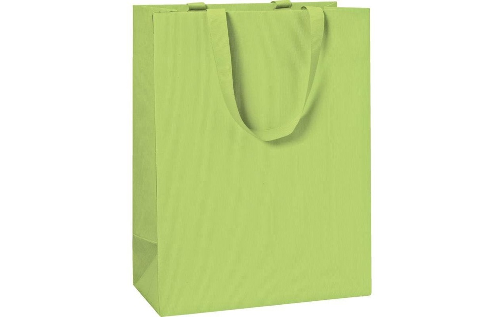STEWO Sac OC 23x13x30 vert clair