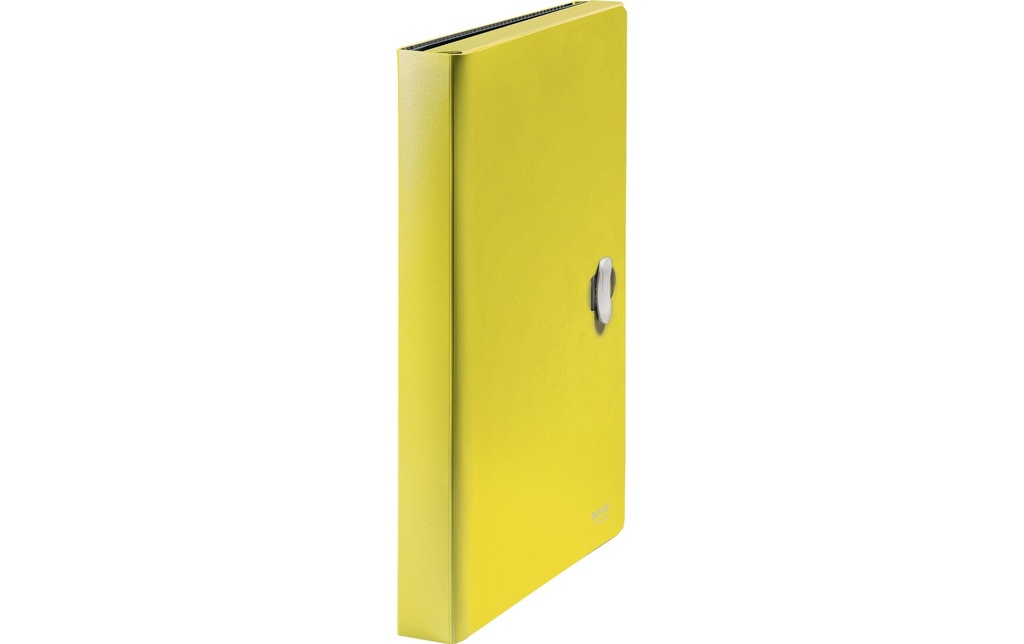 [123240015] LEITZ Dossier projet Recycle A4