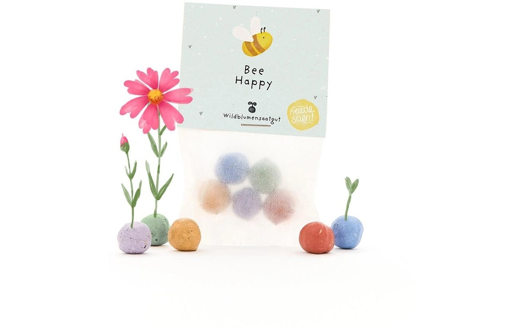 Die Stadtgärtner Billes de fleurs «Bee Happy»