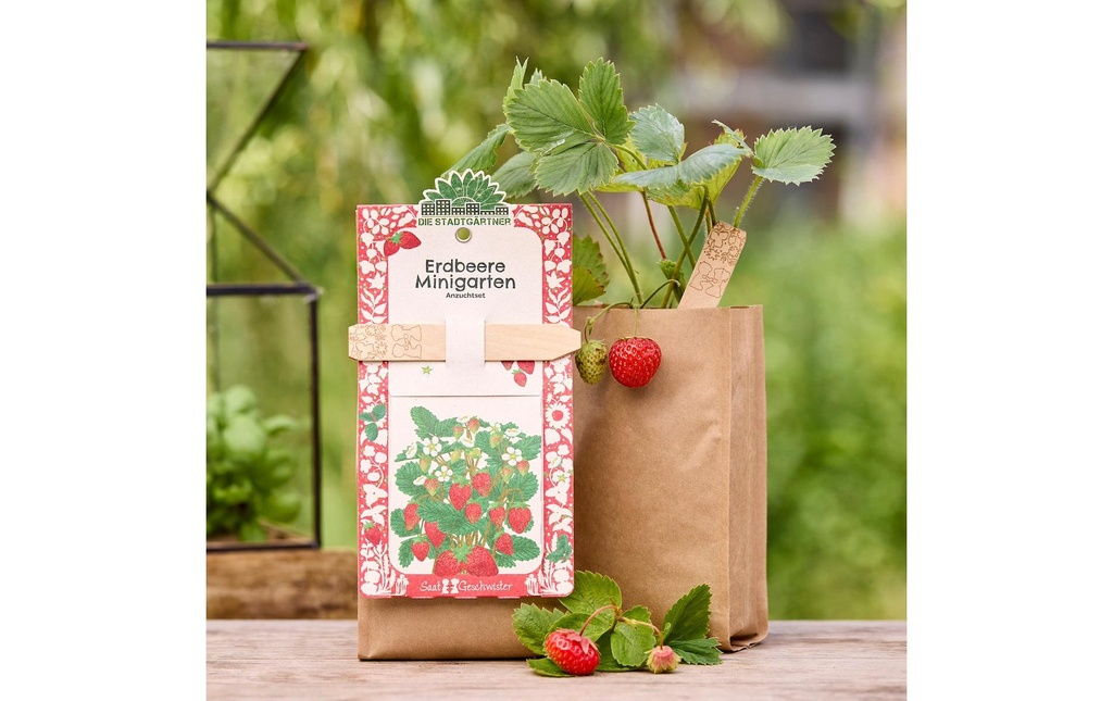 Die Stadtgärtner Kit de culture fraise