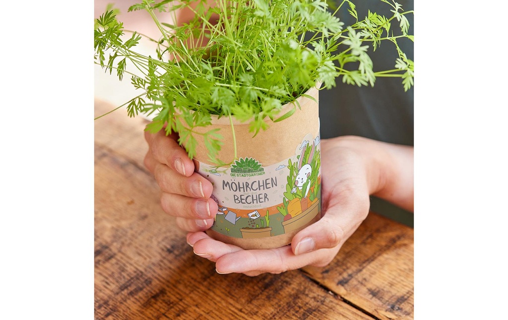 Die Stadtgärtner Kit de culture carottes en godet
