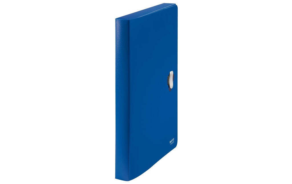 LEITZ Boite de classement  Recycle A