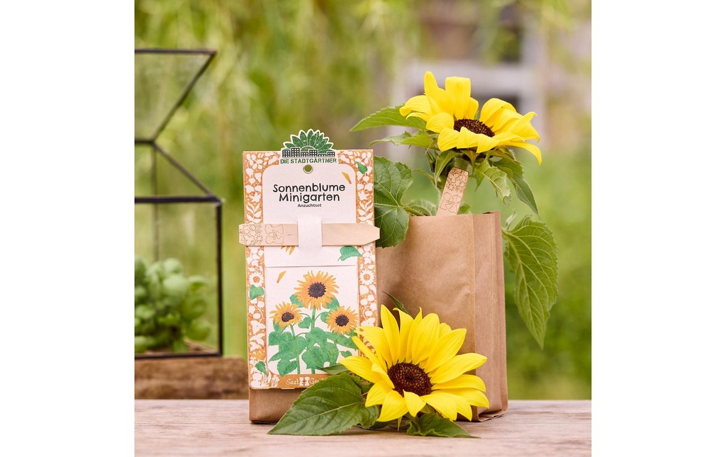 Die Stadtgärtner Kit de culture tournesol
