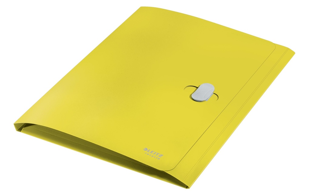 [123220015] LEITZ Dossier document  Recycle A4