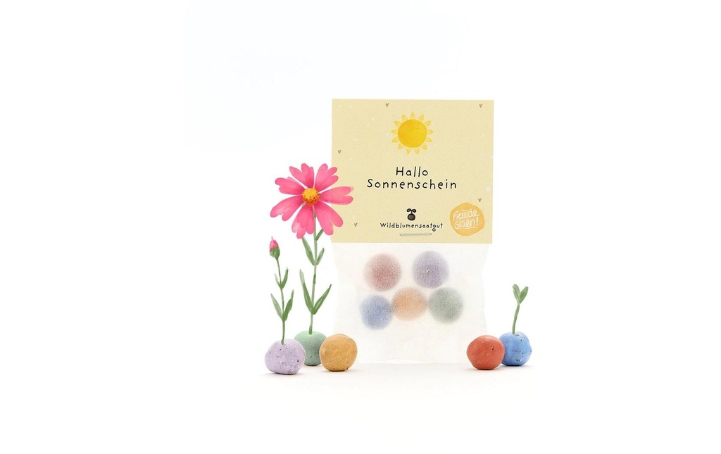 Die Stadtgärtner Billes de fleurs «Bonjour soleil»