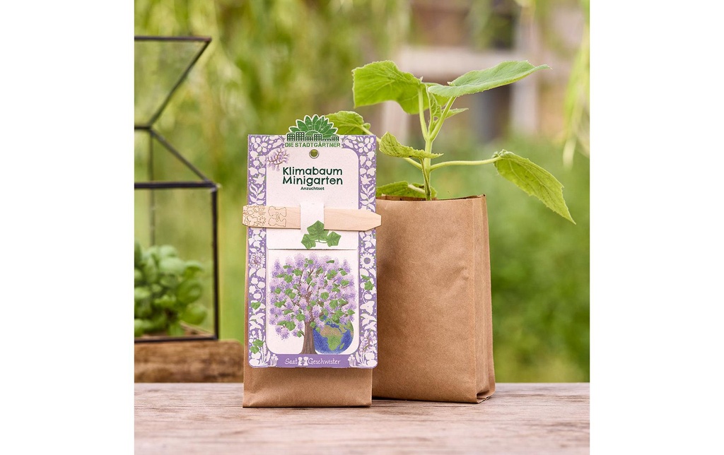 Die Stadtgärtner Kit de culture arbre climatique