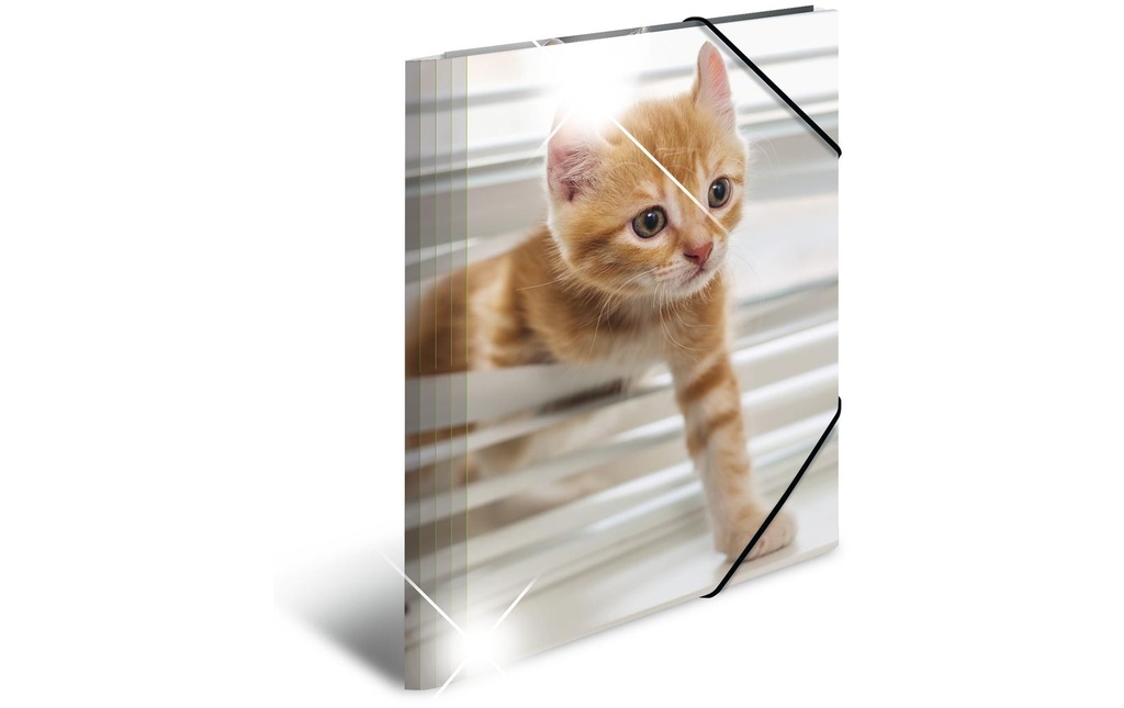 HERMA Dossier coll.A4 glossy chats
