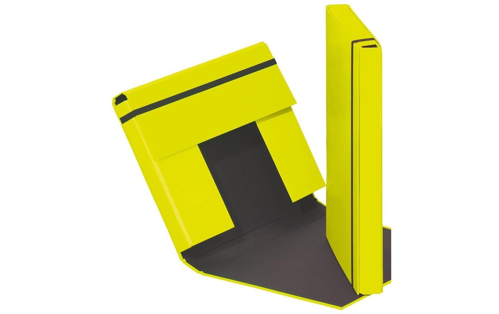 PAGNA Boîte rang.A4 Trend vert lime
