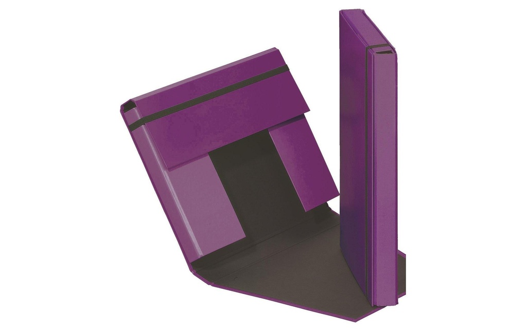PAGNA Boîte rangement A4 Trend lilas